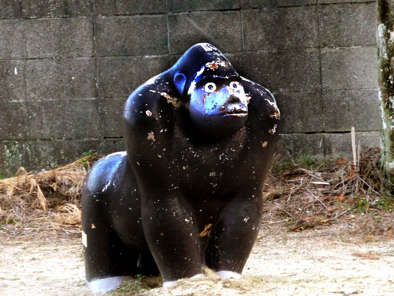 丸小山の「ゴリラ公園」 : 安芸の小京都 竹原アルバム