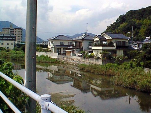 19980808a
