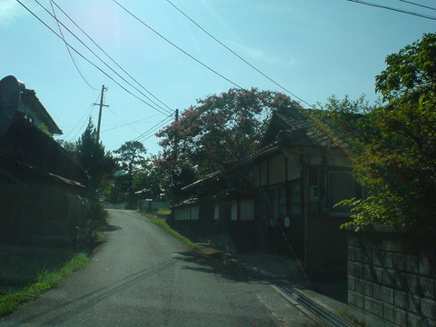 DSC07015