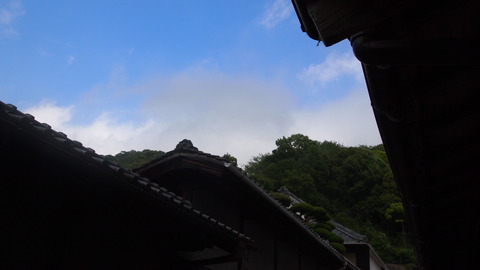 P5045624