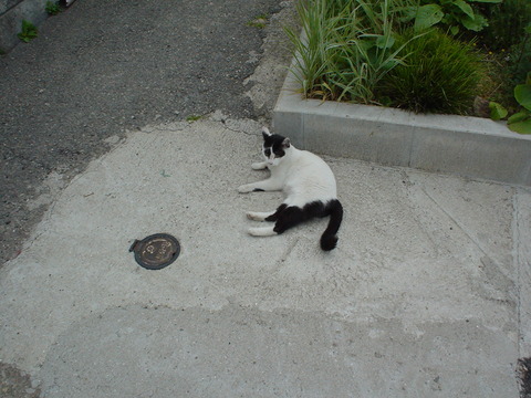 DSC01421
