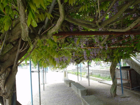 DSC01410