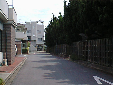 DSC00010