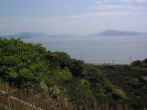 DSC00036