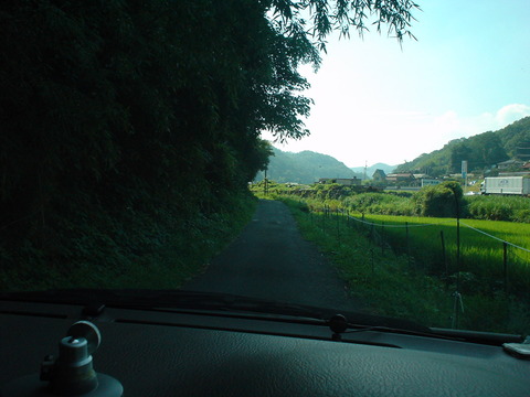 DSC07007