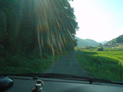 DSC07006