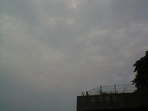 DSC00009