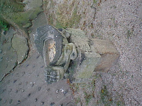 Dsc00131