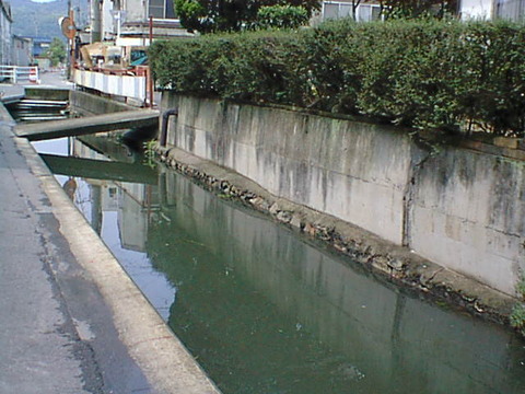 Dsc00042