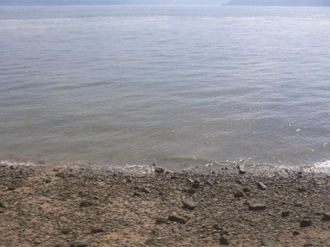 P1010136
