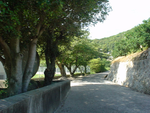 DSC06989
