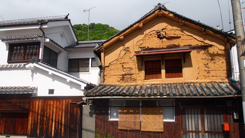 P5045685