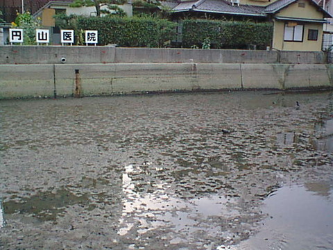 Dsc00151