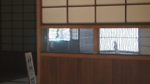 P5045655