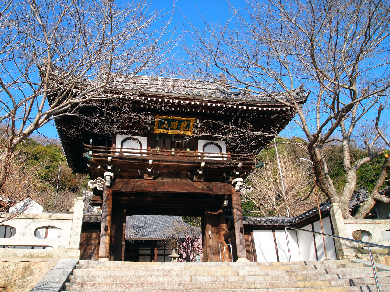 梅の開花 保存地区 安芸の小京都 竹原アルバム
