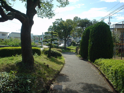 DSC06926