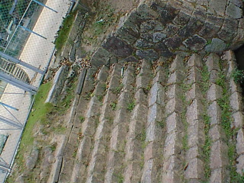DSC00128
