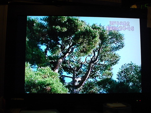DSC07491