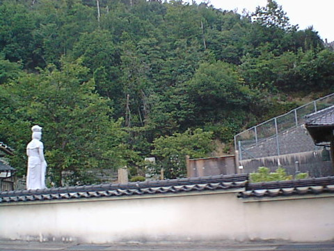 DSC00005
