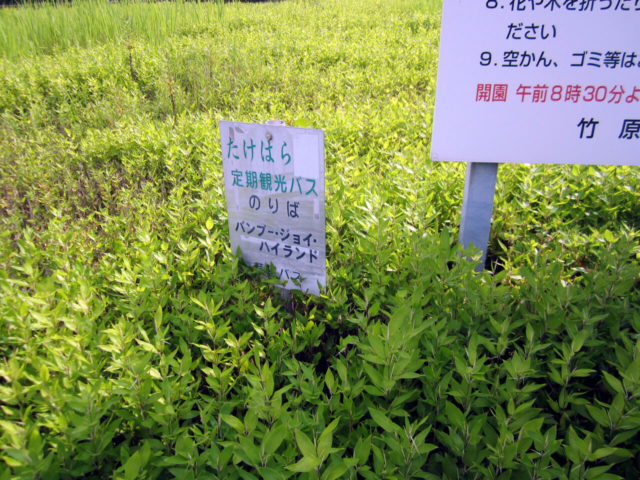 ピースリーホーム バンブー総合公園 安芸の小京都 竹原アルバム