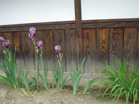 DSC01434