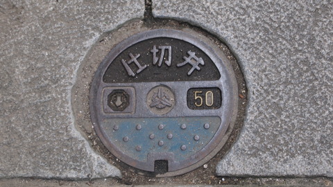 P5045631
