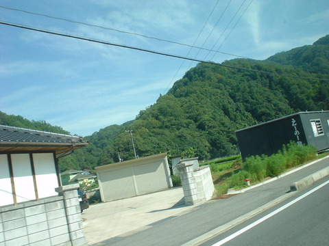 DSC07005