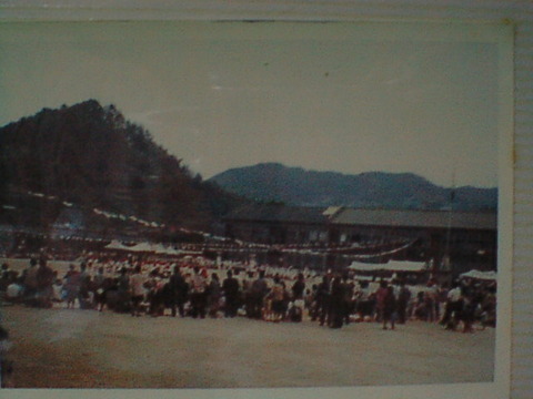 Dsc00051