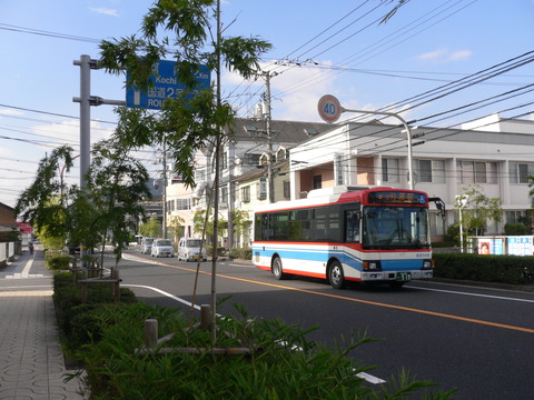 P1010199