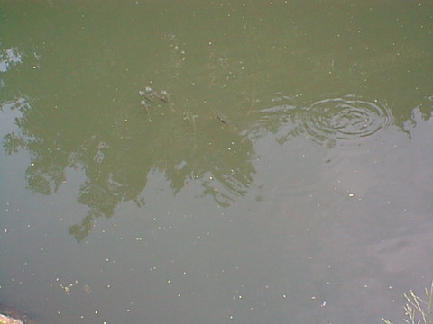 DSC00046