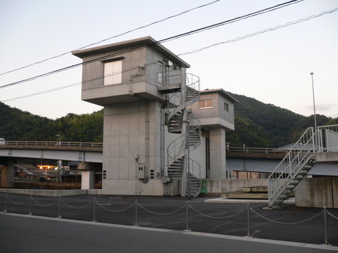 P1010252