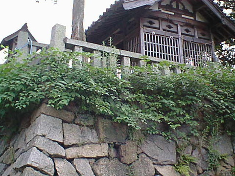 DSC00142