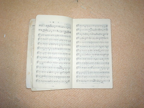 DSC07525
