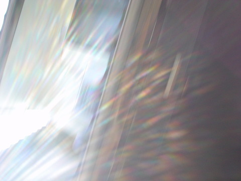 DSC06961