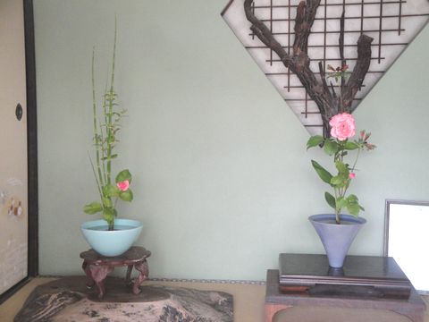 DSC08951