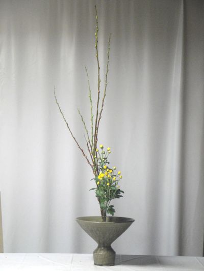 赤芽柳と小菊の二種生けを寸筒に又木で活けました 花と短歌と竹原と 赤芽柳と小菊の二種生けを寸筒に又木で活けました 花と短歌と竹原と
