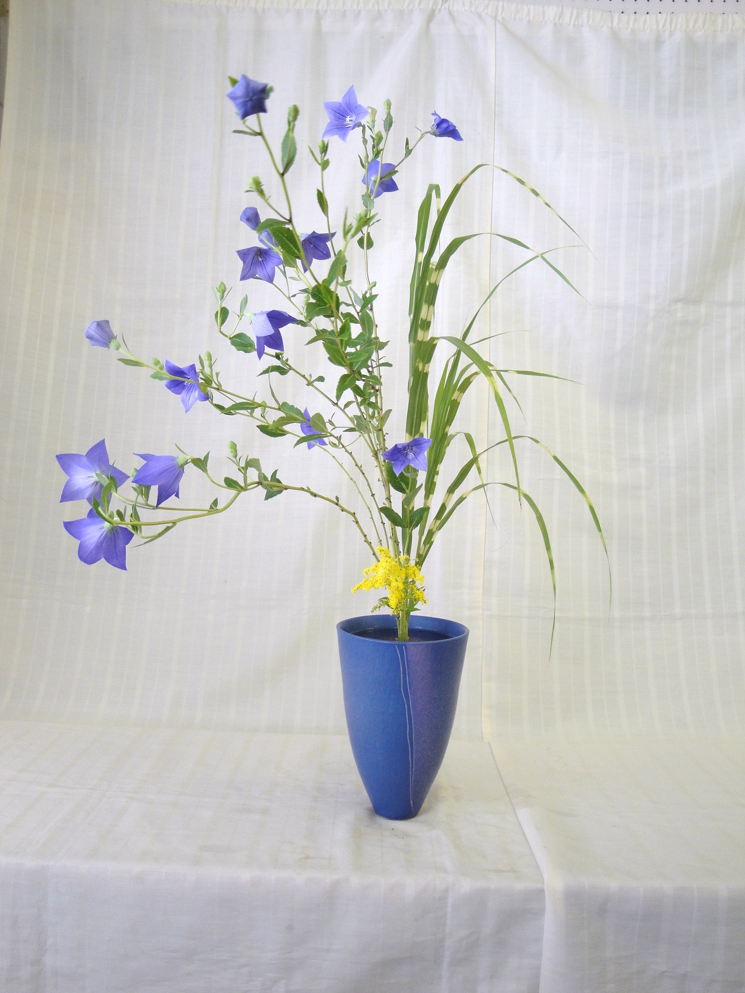 池坊竹原支部7月のいけばな研究会の花 花と短歌と竹原と 池坊竹原支部7月のいけばな研究会の花 花と短歌と竹原と