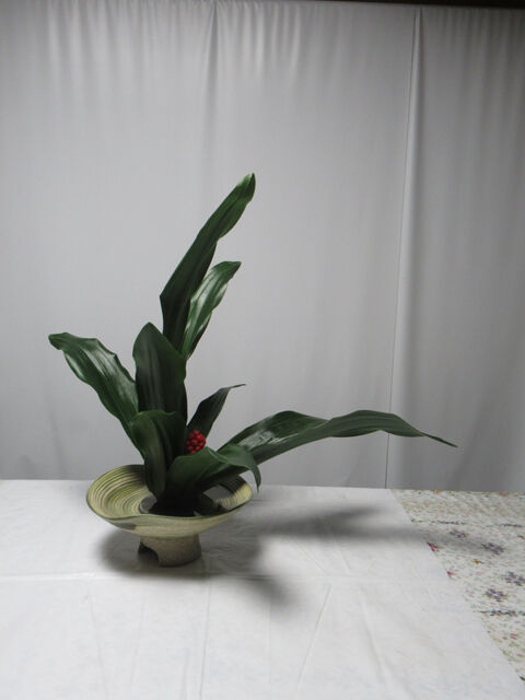 万年青 おもと の一種生けを活けました 花と短歌と竹原と