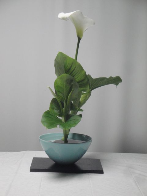 DSC08788