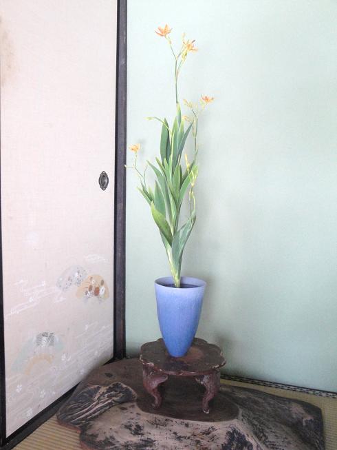 檜扇(ひおうぎ)の花を活けました:花と短歌と竹原と