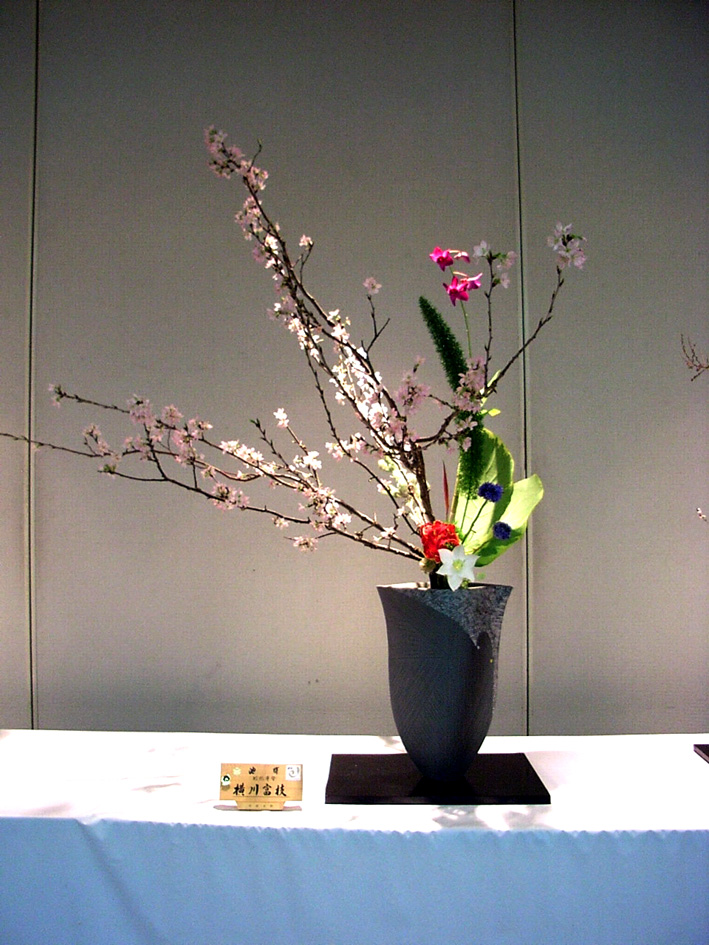 池坊 花と短歌と竹原と