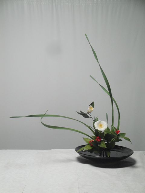 水仙 椿 千両の自由花と木瓜 椿しだれ柳の生花新風体を活けました 花と短歌と竹原と