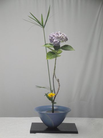 紫陽花 シペルス 姫ヒマワリの生花新風体と向日葵 ベゴニア 猫じゃらしの自由花を活けました 花と短歌と竹原と