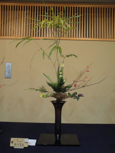 平成27年度旧七夕会池坊全国華道展の作品（3） : 花と短歌