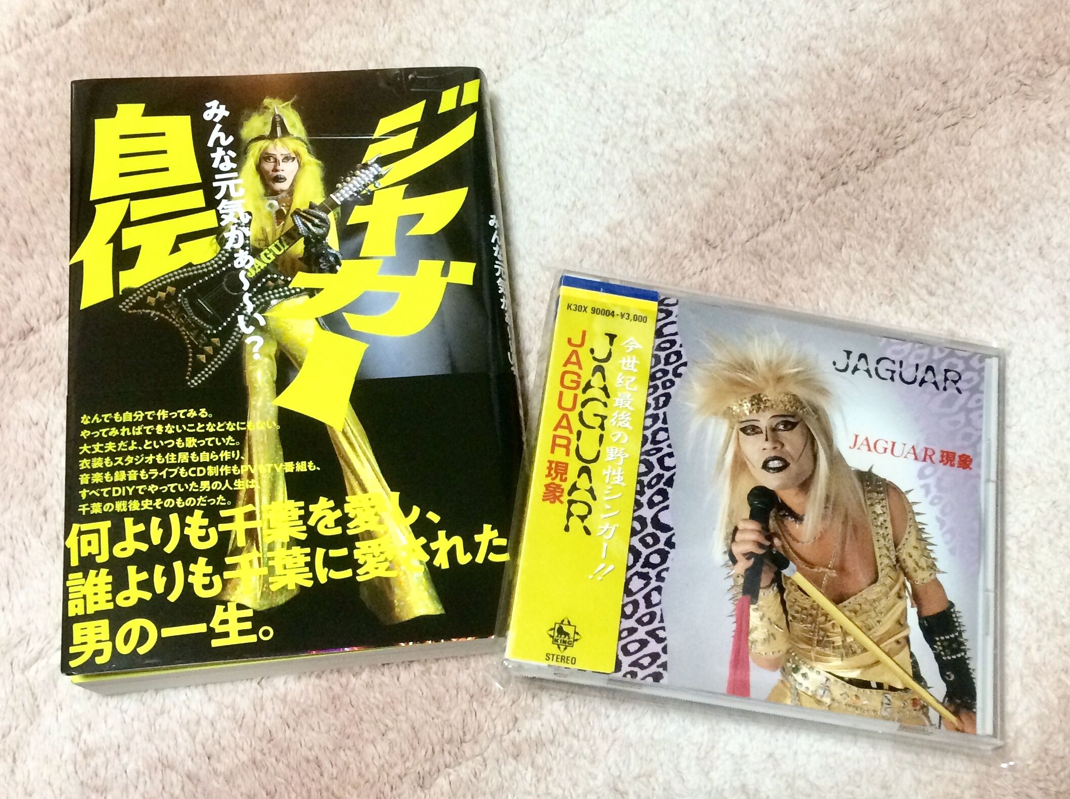 ヘディン探検紀行全集　 全15巻 セット　白水社刊 ヘディン探検紀行全集 全15巻 セット 白水社刊