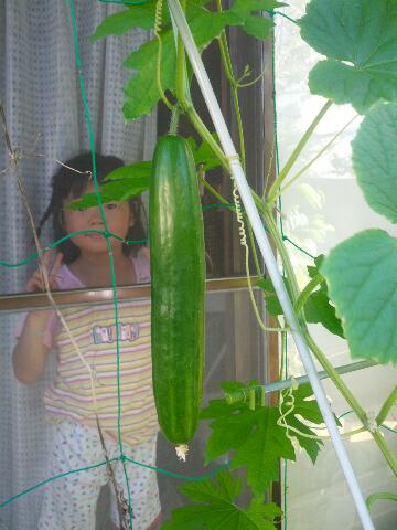 rps20120803_081441_234