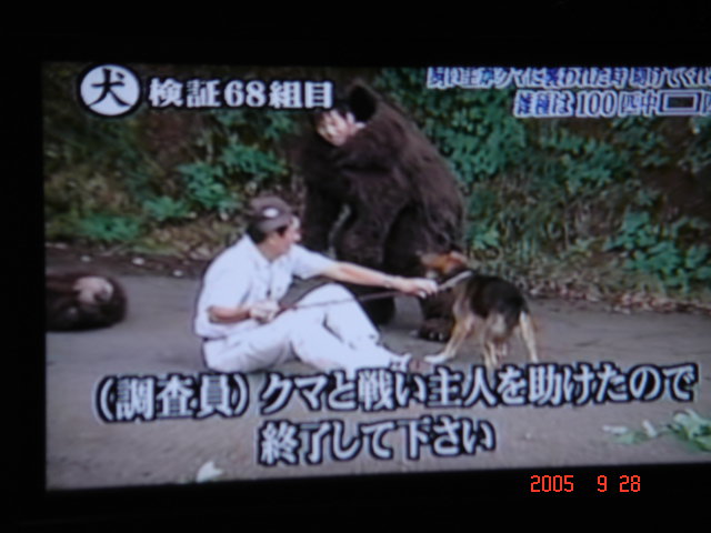 飼い主がクマに襲われた時 助けてくれる雑種は 100匹中 匹 世界の中心で 何をさけぶ それも怒濤の鮫のごとくって 飼い主がクマに襲われた時 助けてくれる雑種は 100匹中 匹 世界の中心で 何をさけぶ それも怒濤の鮫のごとくって