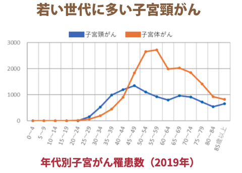スクリーンショット 2025-01-29 8.28.49