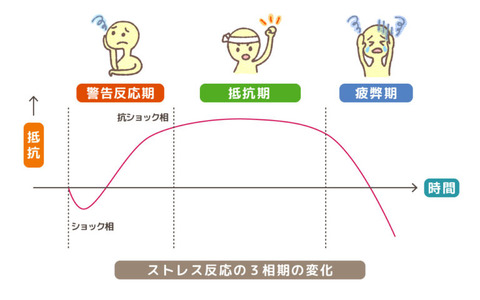 セリエのストレス図改訂-768x480