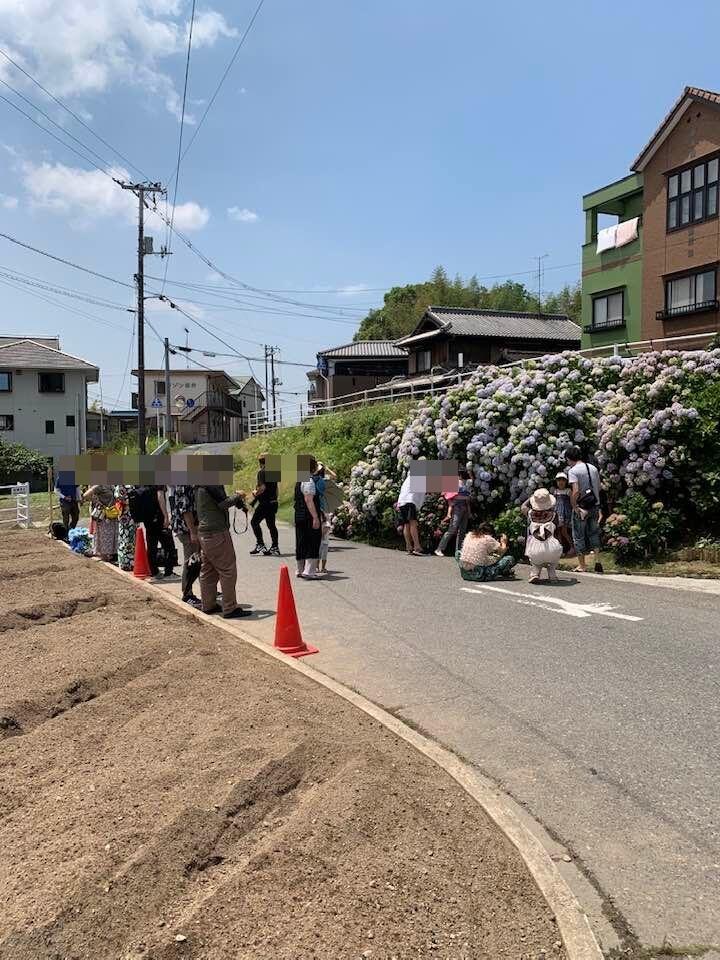 インスタ映えする アジサイの壁 倉敷市議会議員 さいとう武次郎の日記 倉敷市議会議員